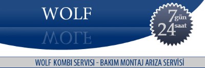 Esenyalı Wolf Kombi Servisi 0216 309 4025