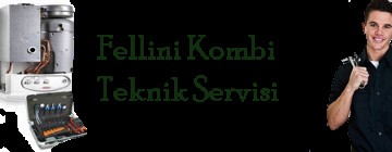 Küçükbakkalköy Fellini Kombi Servisi 0216 309 4025